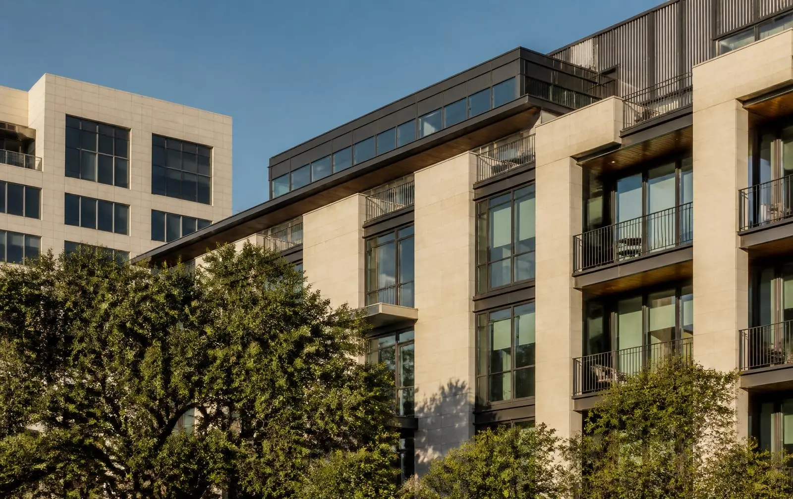Limestone and glass mid-rise buildings framed by live oaks in central Austin